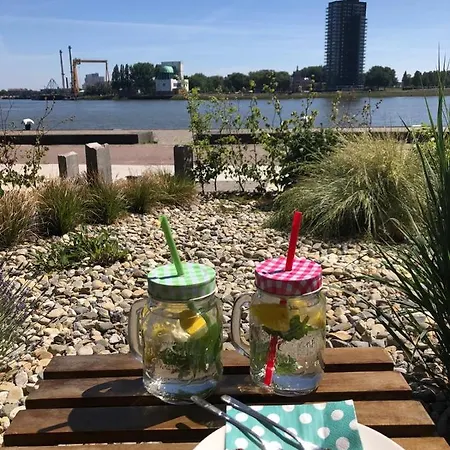 Maasview Róterdam