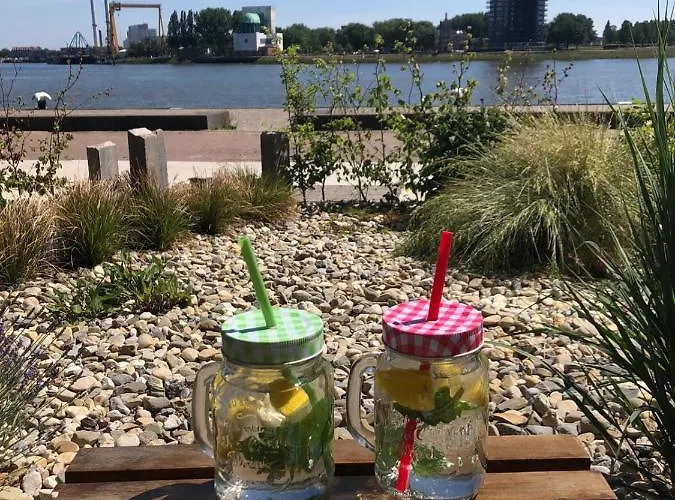 Maasview Роттердам